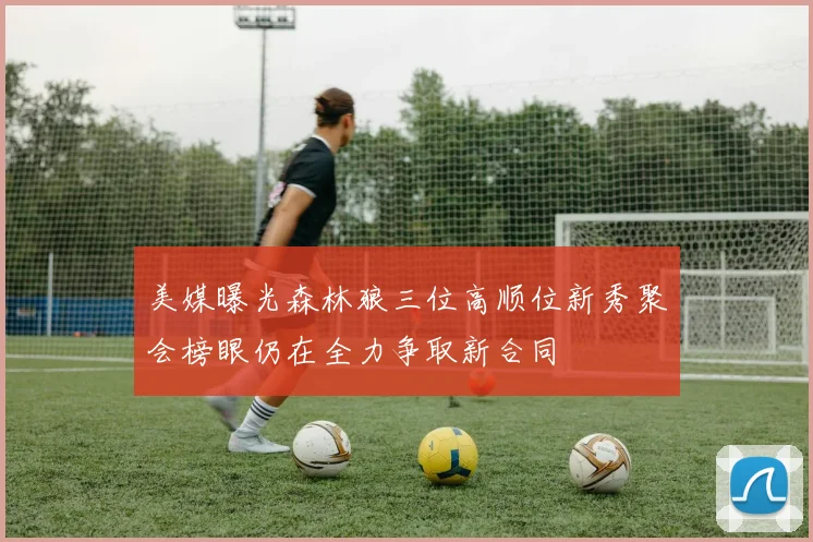 美媒曝光森林狼三位高顺位新秀聚会榜眼仍在全力争取新合同